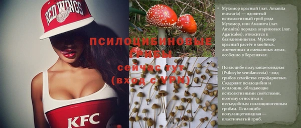 2c-b Михайлов