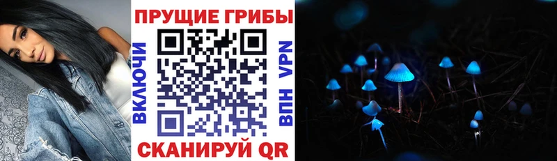 Псилоцибиновые грибы мицелий  blacksprut онион  Обоянь 